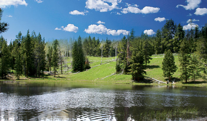 utah mountain property