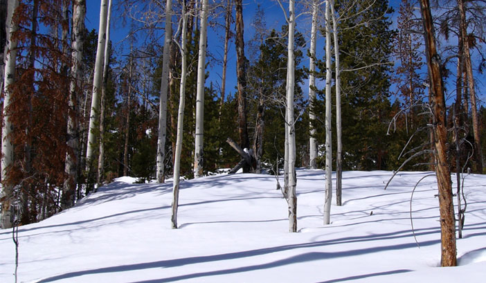 utah mountain lot for sale